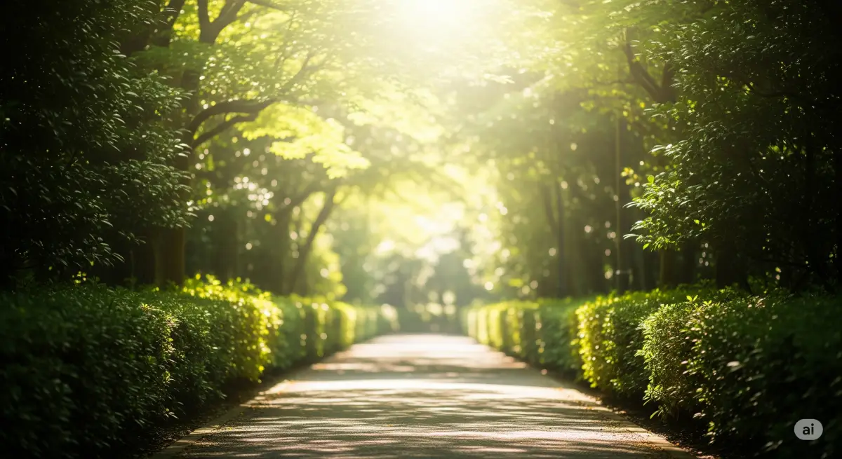緑の木々の間を通る道