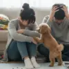 トイプードルを飼うんじゃなかった…その深い後悔の理由と解決策